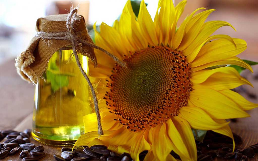 SUN FLOWER OIL